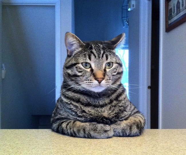 Ad:  59.jpg
Gsterim: 158
Boyut:  126.1 KB