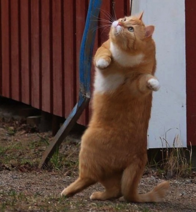 Ad:  60.jpg
Gsterim: 163
Boyut:  120.6 KB