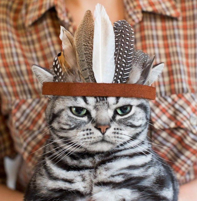 Ad:  65.jpg
Gsterim: 170
Boyut:  193.0 KB