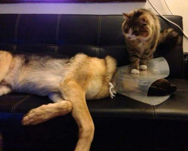 Ad:  13.jpg
Gsterim: 176
Boyut:  79.8 KB