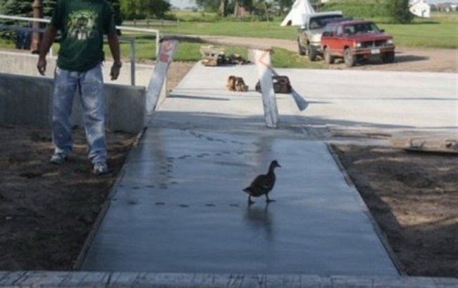 Ad:  14.jpg
Gsterim: 147
Boyut:  72.4 KB