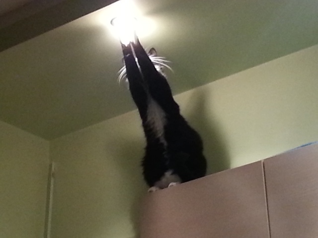 Ad:  38.jpg
Gsterim: 193
Boyut:  57.3 KB