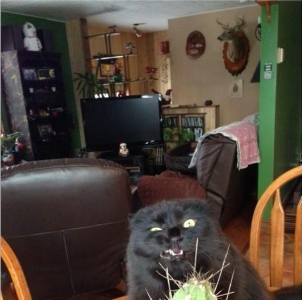 Ad:  39.jpg
Gsterim: 217
Boyut:  92.1 KB