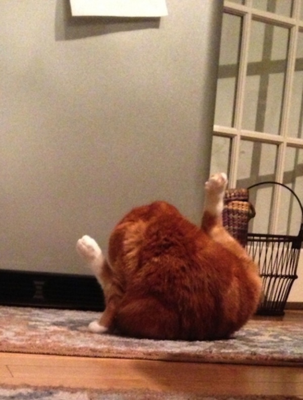 Ad:  43.jpg
Gsterim: 189
Boyut:  126.7 KB