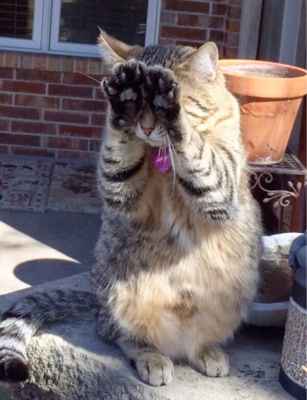 Ad:  48.jpg
G�sterim: 169
Boyut:  150.8 KB