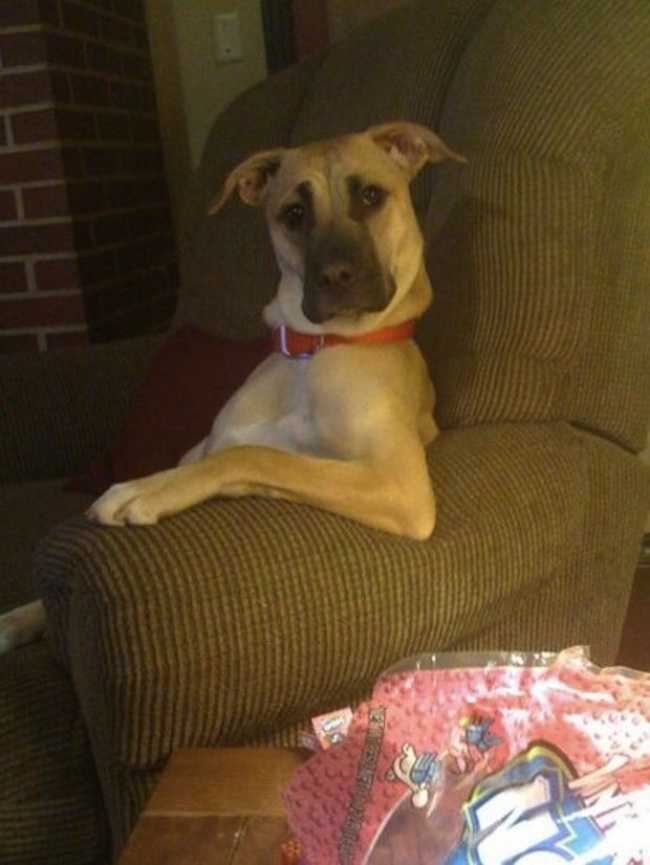 Ad:  3.jpg
Gsterim: 256
Boyut:  135.1 KB