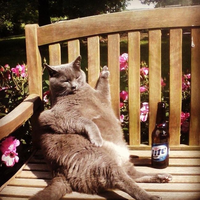 Ad:  6.jpg
Gsterim: 165
Boyut:  196.5 KB