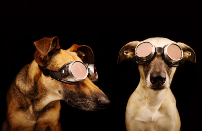 Ad:  8.jpg
Gsterim: 148
Boyut:  61.3 KB