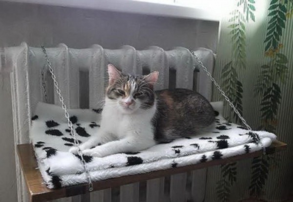 Ad:  41.jpg
Gsterim: 172
Boyut:  69.7 KB