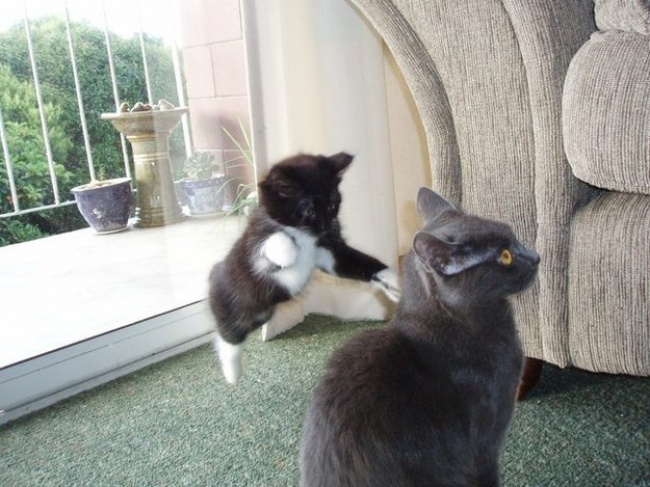 Ad:  44.jpg
Gsterim: 150
Boyut:  123.8 KB