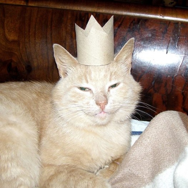 Ad:  46.jpeg
Gsterim: 186
Boyut:  148.6 KB