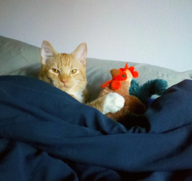 Ad:  48.jpg
Gsterim: 162
Boyut:  116.8 KB