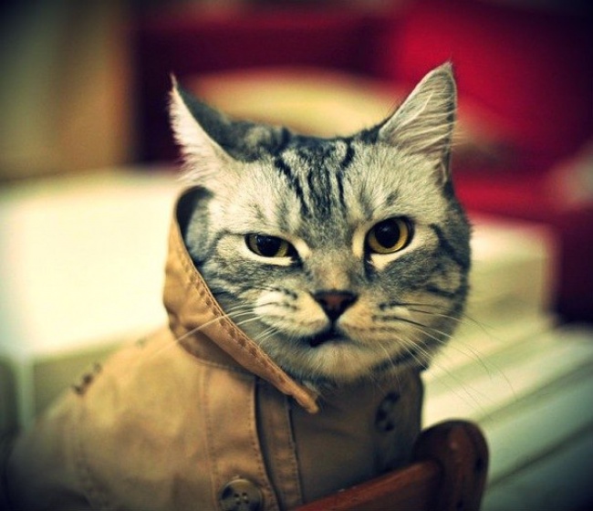 Ad:  49.jpg
Gsterim: 515
Boyut:  101.7 KB