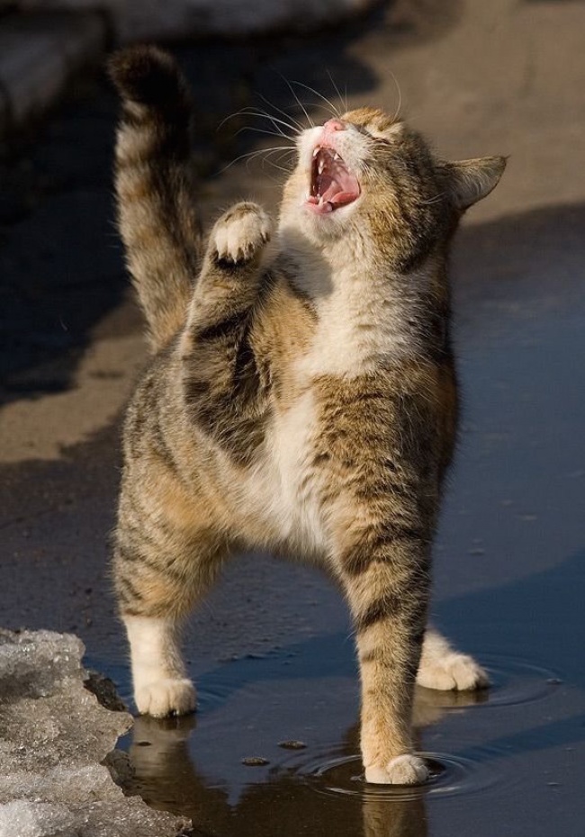 Ad:  52.jpg
Gsterim: 395
Boyut:  185.8 KB