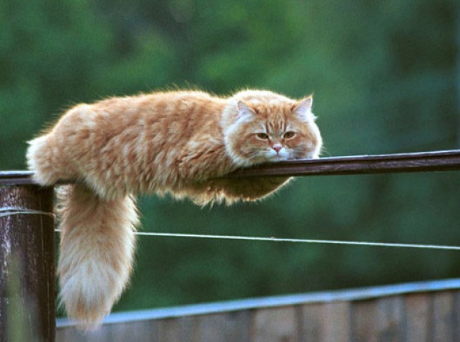 Ad:  53.jpg
Gsterim: 217
Boyut:  85.0 KB