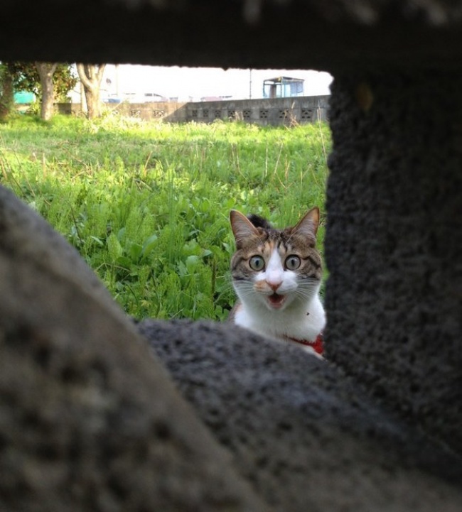 Ad:  54.jpg
Gsterim: 158
Boyut:  124.0 KB