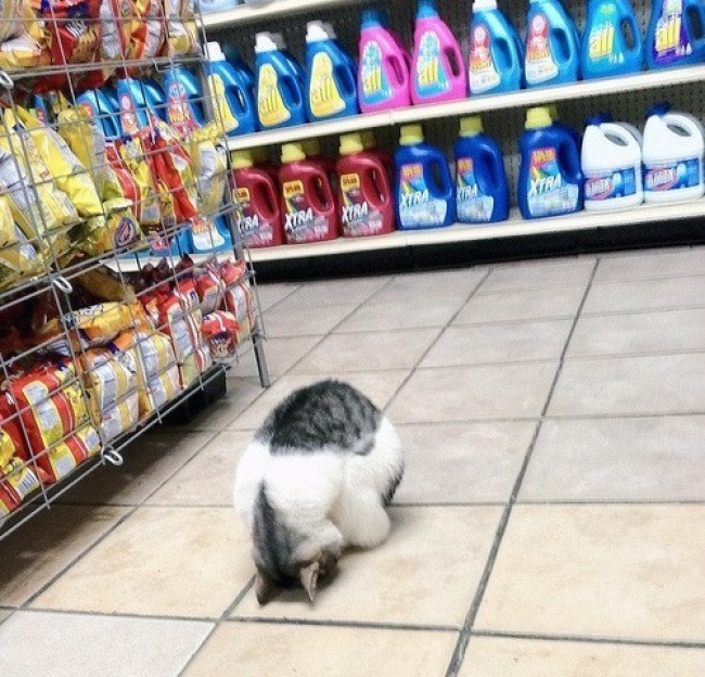 Ad:  55.jpg
Gsterim: 152
Boyut:  194.9 KB