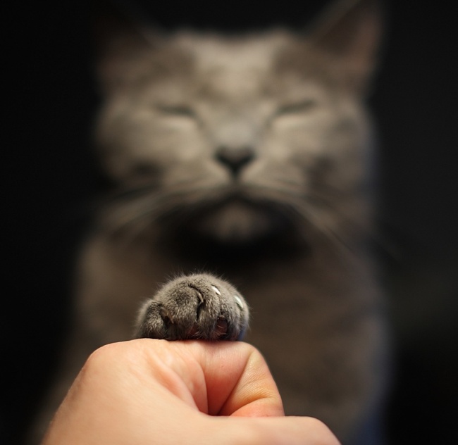 Ad:  64.jpg
Gsterim: 158
Boyut:  64.3 KB