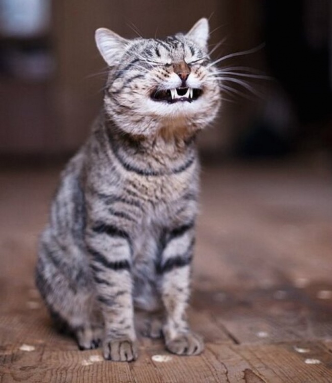 Ad:  67.JPG
Gsterim: 160
Boyut:  105.1 KB