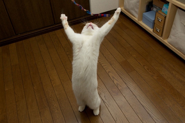 Ad:  68.jpg
Gsterim: 198
Boyut:  88.5 KB