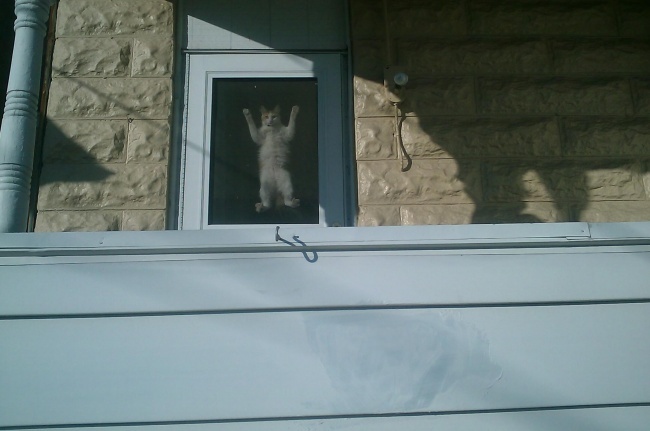 Ad:  74.jpg
Gsterim: 169
Boyut:  73.1 KB