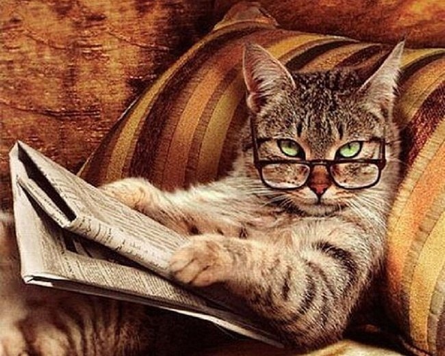 Ad:  78.jpeg
Gsterim: 159
Boyut:  147.1 KB