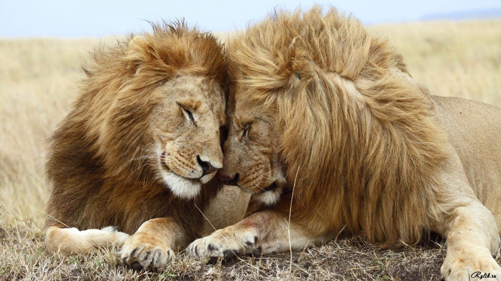 Ad:  92.jpg
Gsterim: 155
Boyut:  281.2 KB