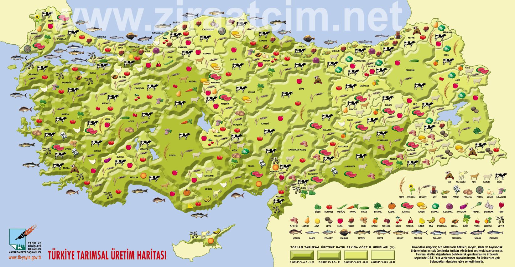 Türkiye'de bölgelere göre hangi tarım ürünleri yetişir?