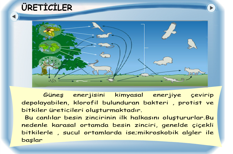 Ad:  bz3.PNG
G�sterim: 4164
Boyut:  311.8 KB