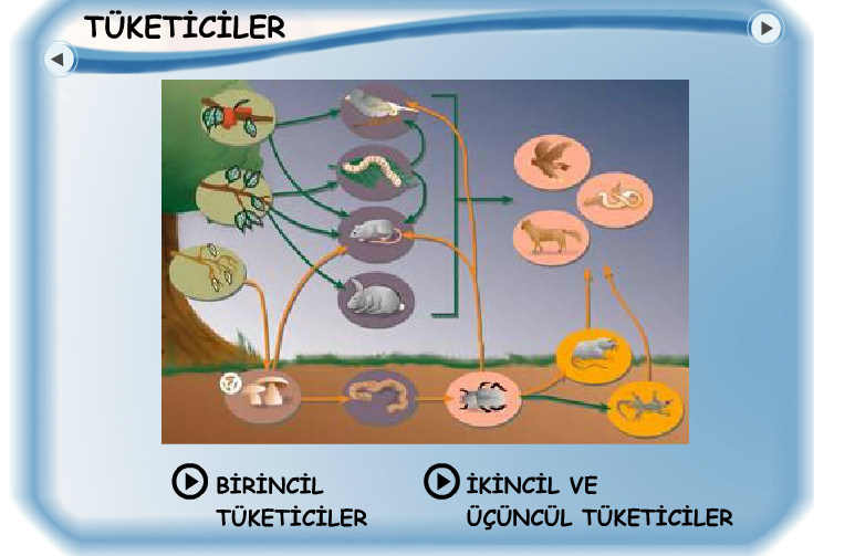 Ad:  bz4.PNG
G�sterim: 3880
Boyut:  359.7 KB