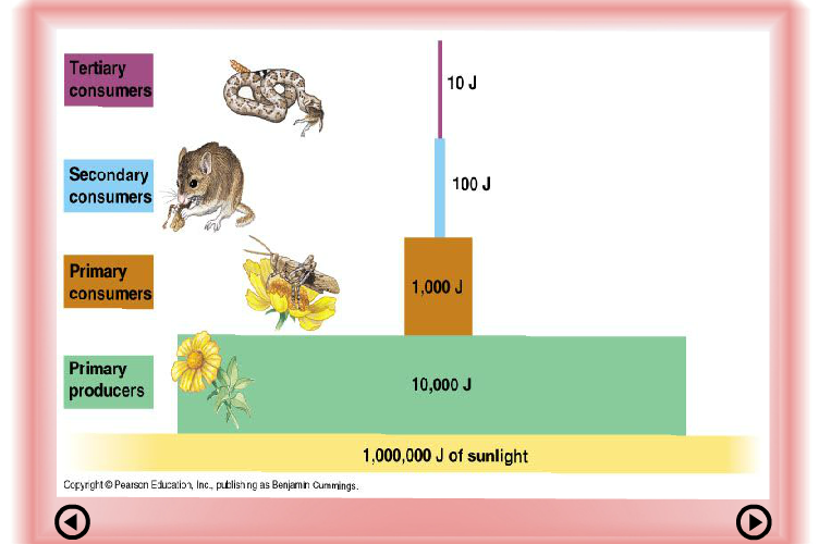 Ad:  bz6.PNG
G�sterim: 4416
Boyut:  210.1 KB