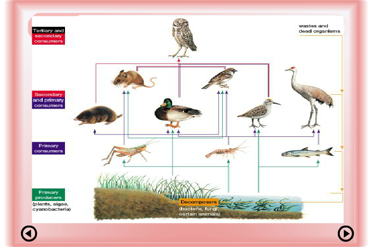 Ad:  bz7.PNG
G�sterim: 6955
Boyut:  283.3 KB