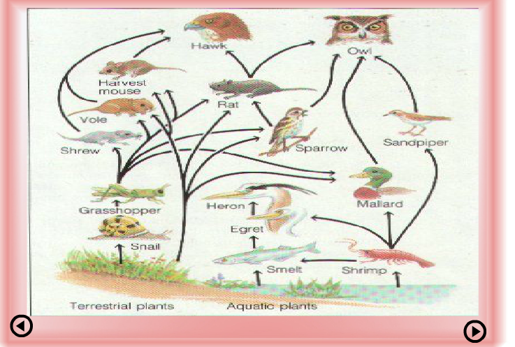 Ad:  bz8.PNG
G�sterim: 3744
Boyut:  498.1 KB