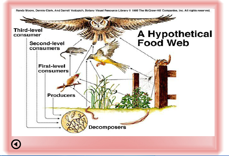 Ad:  bz9.PNG
G�sterim: 848
Boyut:  376.4 KB