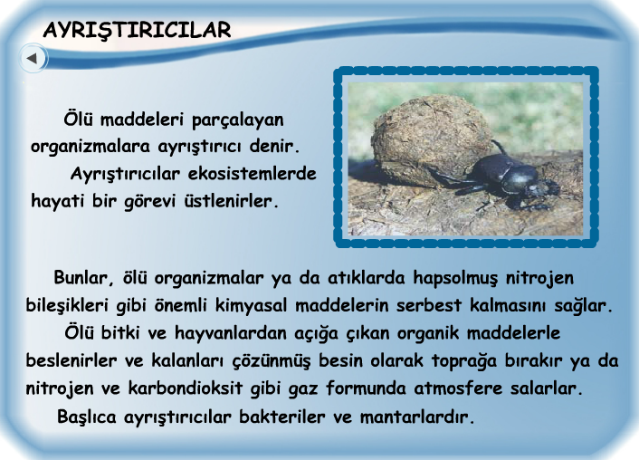 Ad:  bz11.PNG
G�sterim: 664
Boyut:  367.2 KB