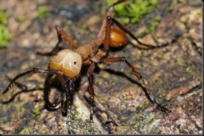 Ad:  2712037082_small_1.jpg
Gsterim: 503
Boyut:  30.2 KB