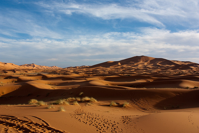 Ad:  l3.jpg
Gsterim: 1504
Boyut:  99.6 KB