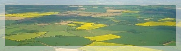 Ad:  ova1.jpg
Gsterim: 3099
Boyut:  23.8 KB