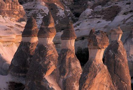 Ad:  peri bacalari1.jpg
Gsterim: 1263
Boyut:  32.2 KB