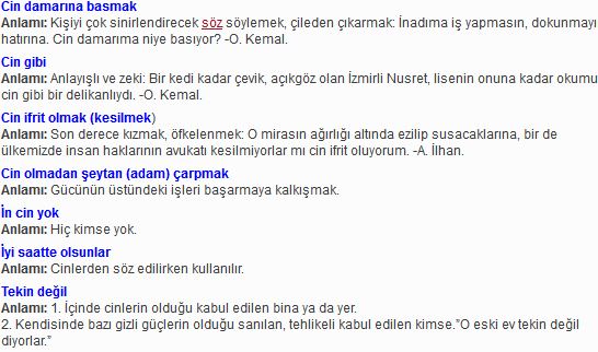 Ad:  cin 2.JPG
Gsterim: 4443
Boyut:  49.1 KB