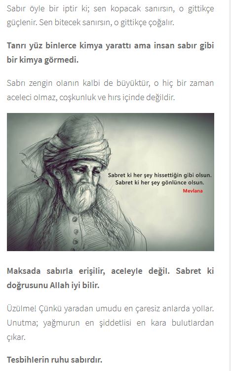 Ad:  ms2.JPG
Gsterim: 2813
Boyut:  62.5 KB