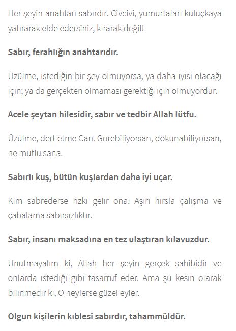 Ad:  ms3.JPG
Gsterim: 1667
Boyut:  53.4 KB