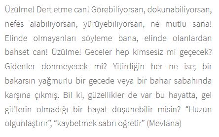 Ad:  ms5.JPG
Gsterim: 833
Boyut:  36.6 KB