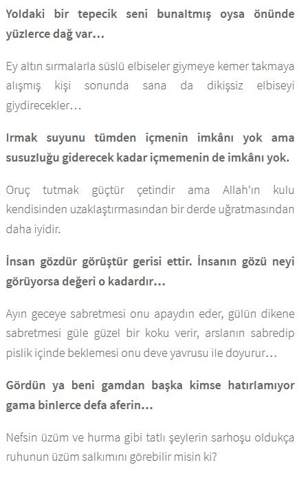 Ad:  mh3.JPG
Gsterim: 6150
Boyut:  61.8 KB