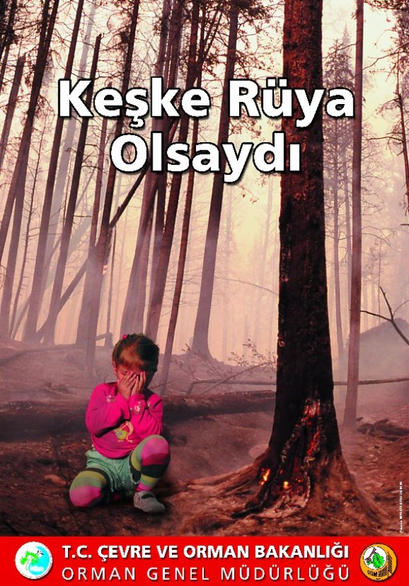 Ad: orman4.jpg
Gösterim: 5641
Boyut: 145.6 KB