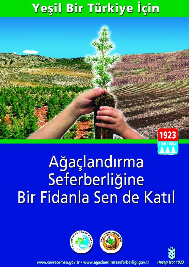 Ad: orman5.jpg
Gösterim: 4887
Boyut: 150.6 KB