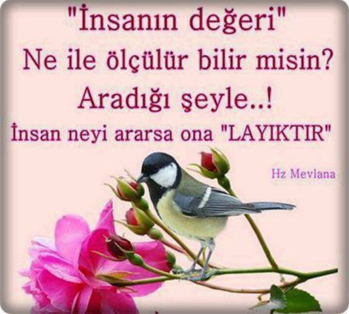 Ad: insan10.JPG
Gösterim: 29391
Boyut: 127.2 KB