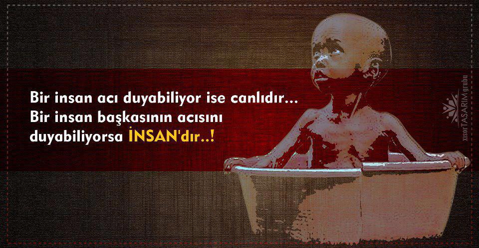 Ad:  insan3.JPG
G�sterim: 5757
Boyut:  113.8 KB