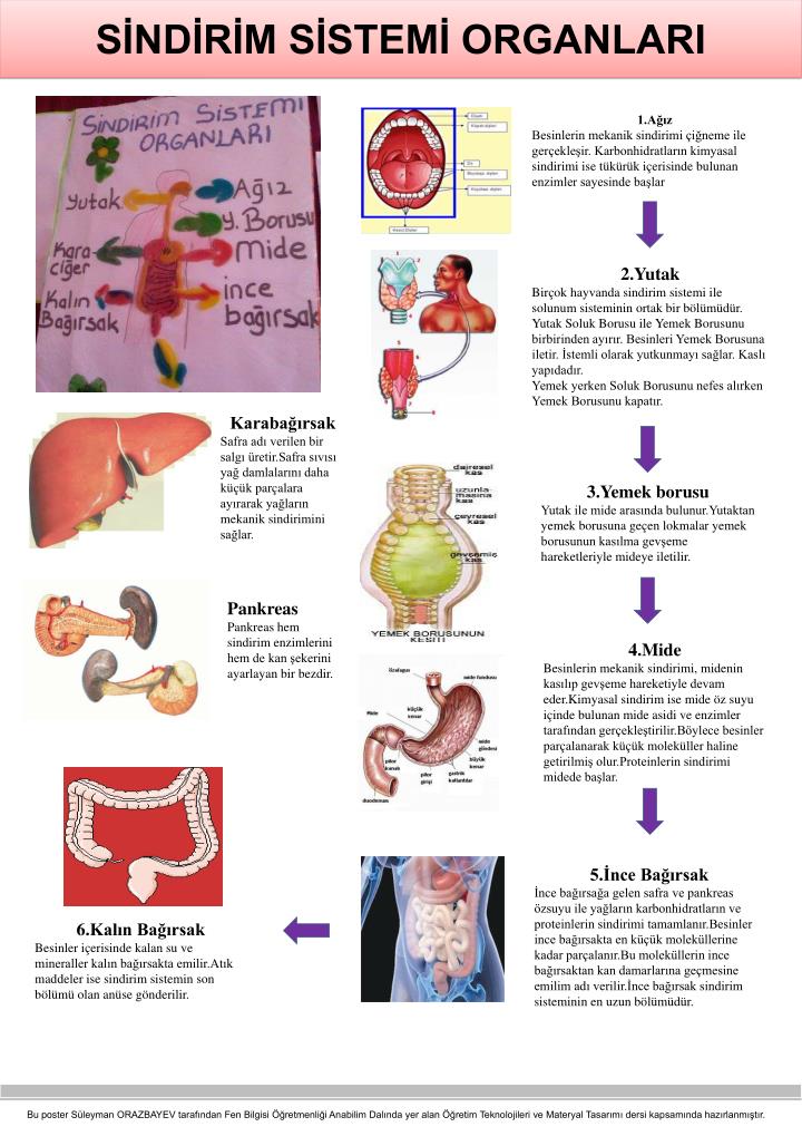 Ad: sindirimsist5.jpg
Gösterim: 7536
Boyut: 119.2 KB