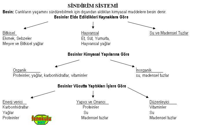 Ad: sindirimsist6.jpg
Gösterim: 3765
Boyut: 43.1 KB